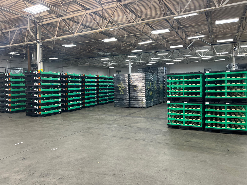 Warehousing